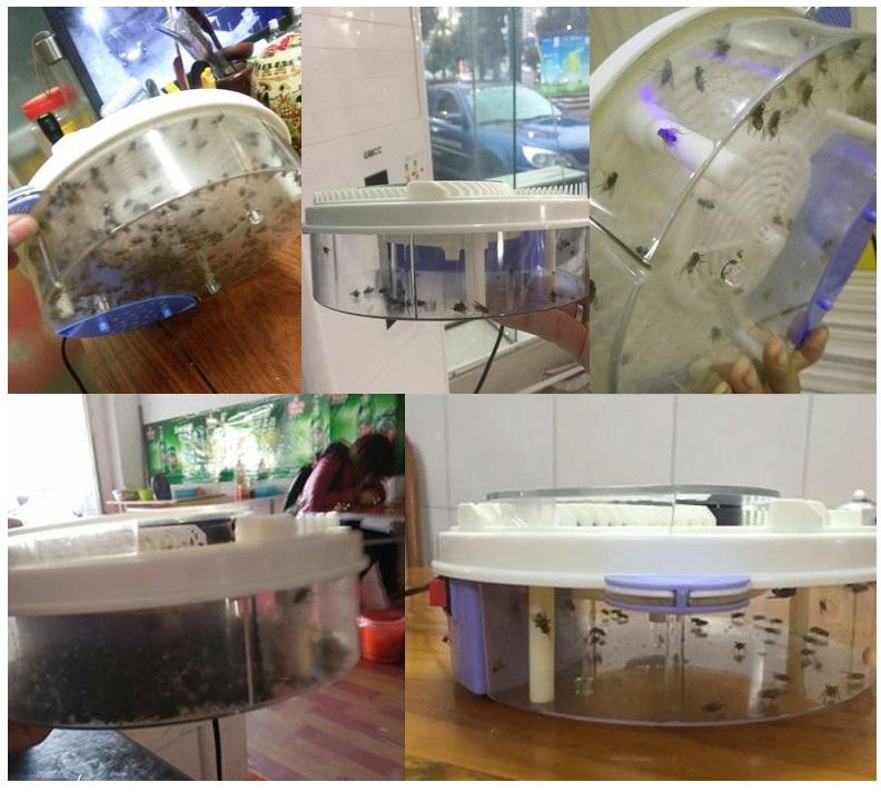 Electric Fly Trap Device - Automatic Catcher ( Free Shipping)
