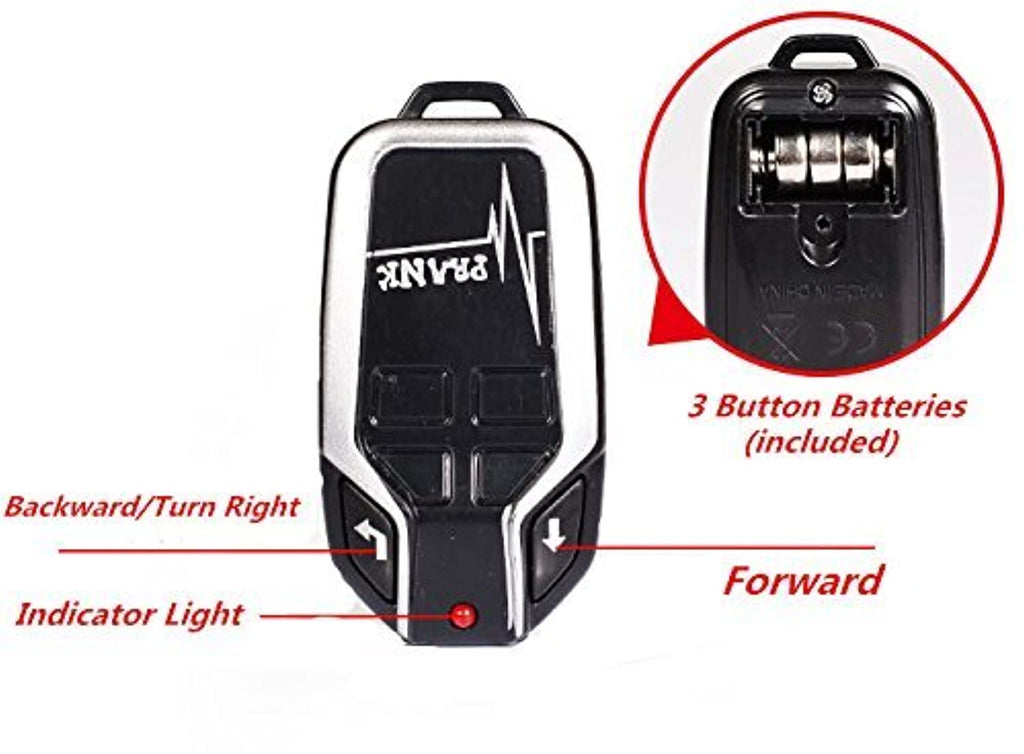 Remote Control Cockroach Toy