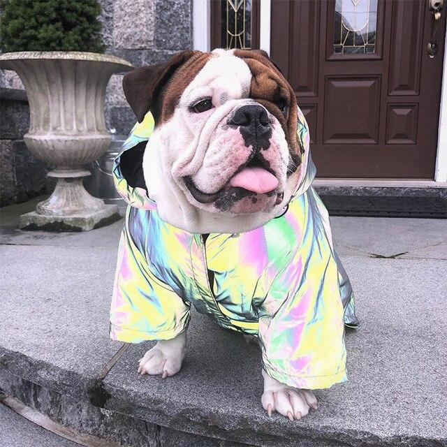 Pet Laser Fabric Jacket